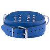 The Red Collier en cuir Ultra Bleu